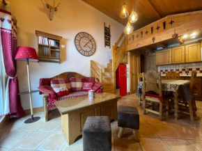 Bel appartement proche pistes et randonnées